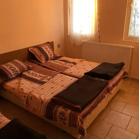 Guest house Хижа Тополица *