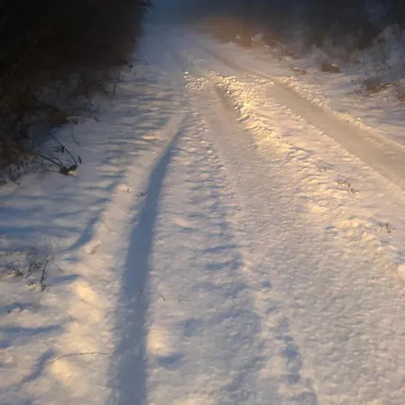 Хижа Тополица